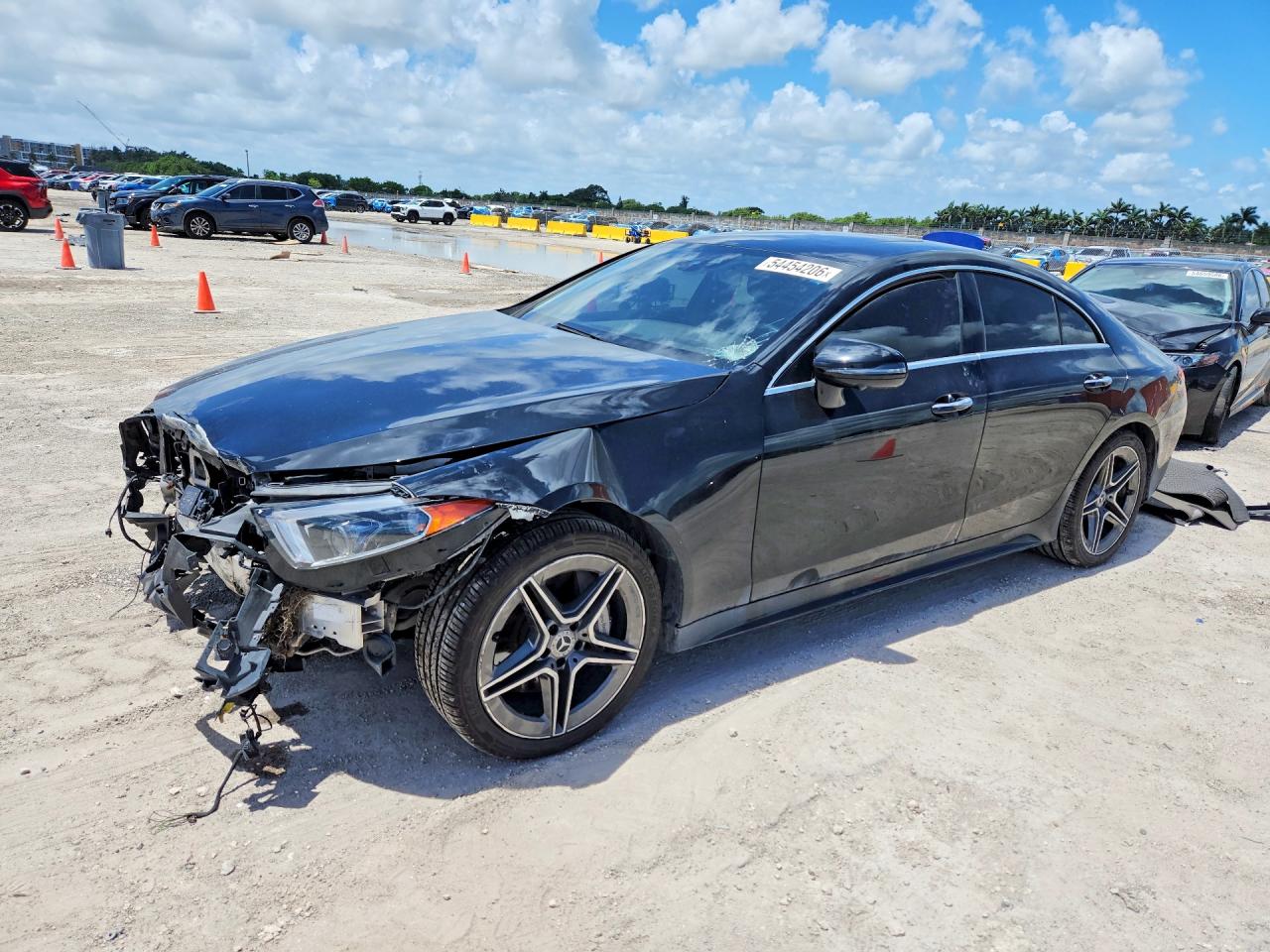 2019 MERCEDES-BENZ CLS CLS450-4M