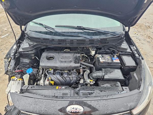 2019 KIA RIO