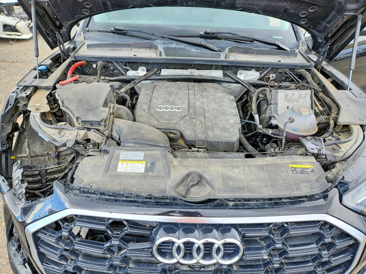 2023 AUDI Q5