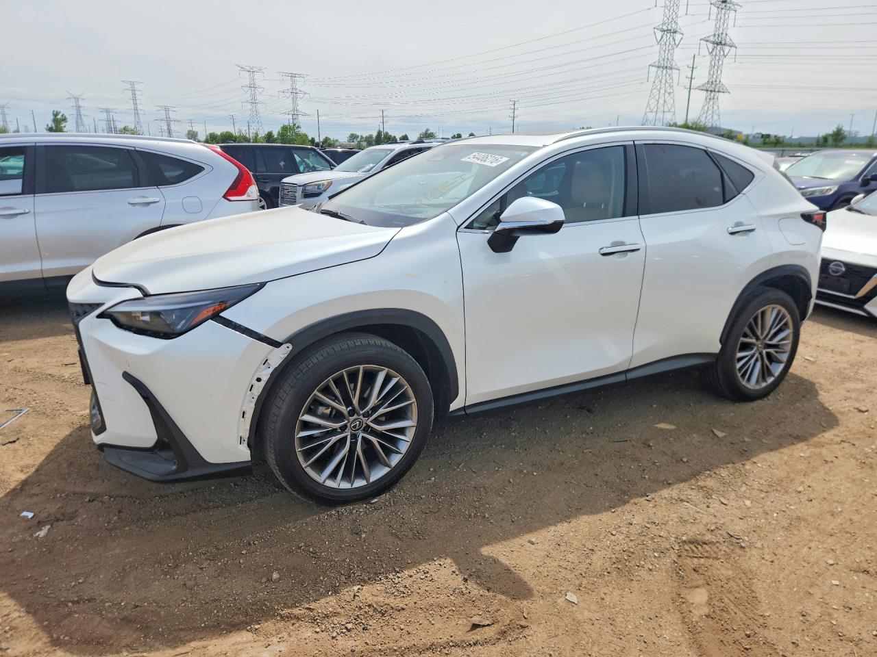 2025 LEXUS NX 350 Premium