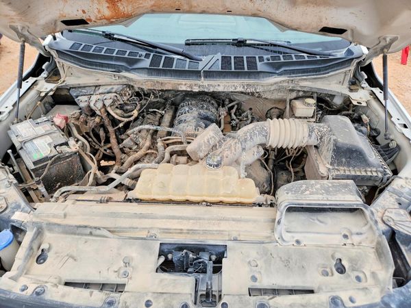 2024 FORD F150