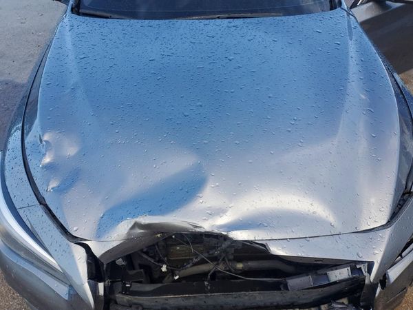 2019 INFINITI Q50