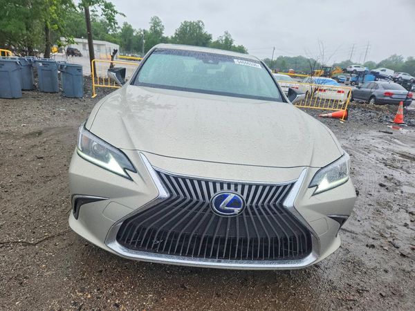 2019 LEXUS ES 300h