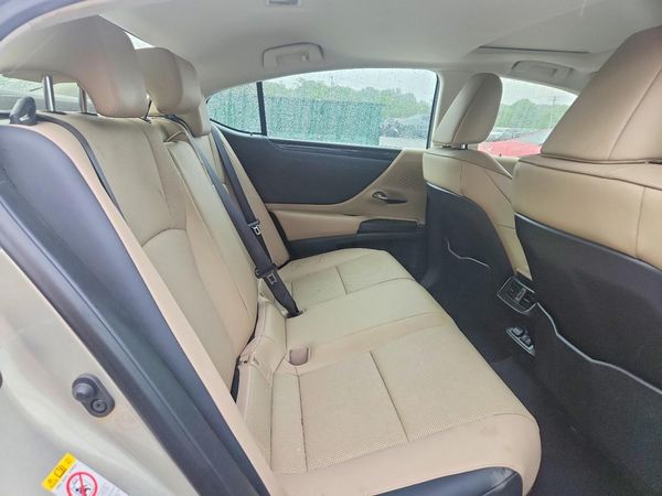 2019 LEXUS ES 300h