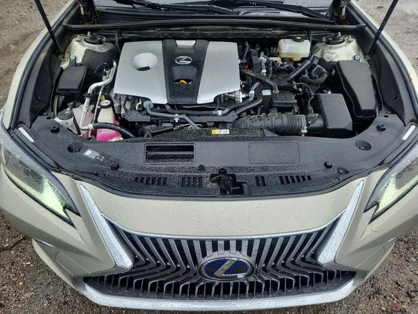 2019 LEXUS ES 300h