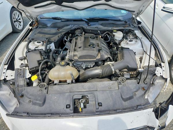 2019 FORD MUSTANG I4 Coupe