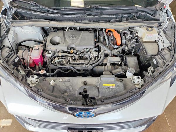 2024 TOYOTA SIENNA Platinum