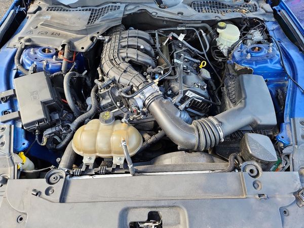 2017 FORD MUSTANG V6 Coupe