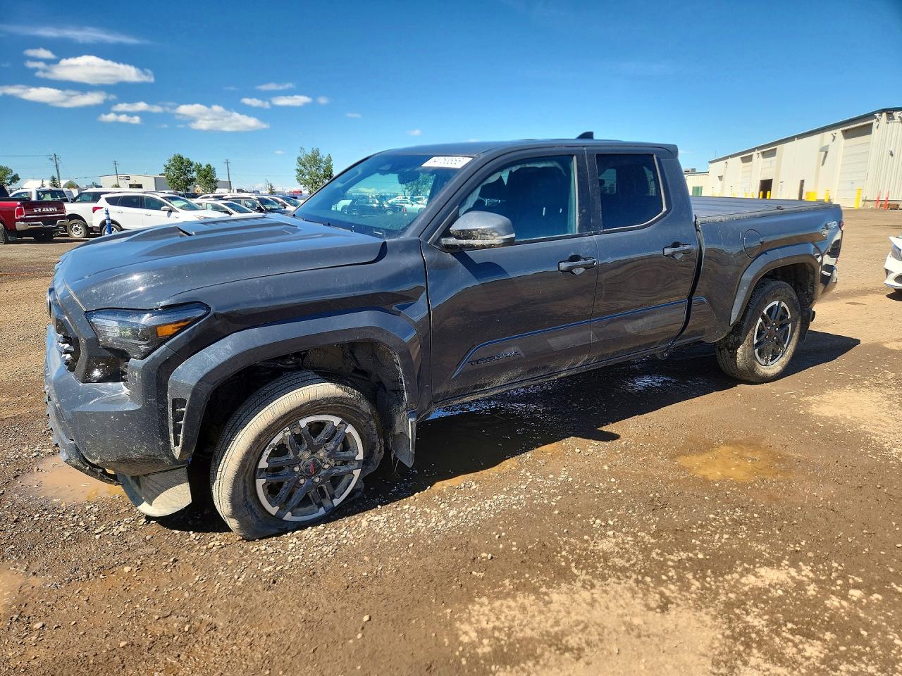 2025 TOYOTA TACOMA
