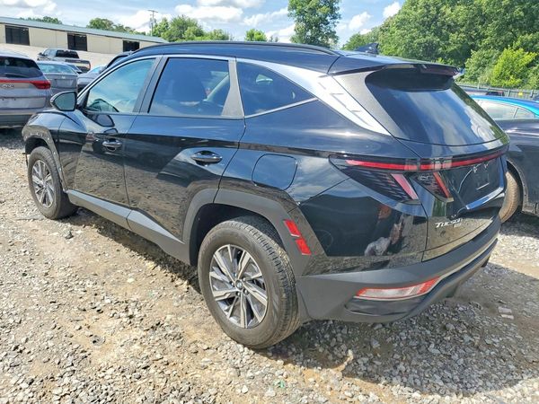2023 HYUNDAI TUCSON Blue