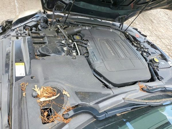 2014 JAGUAR F-TYPE S — Engine bay