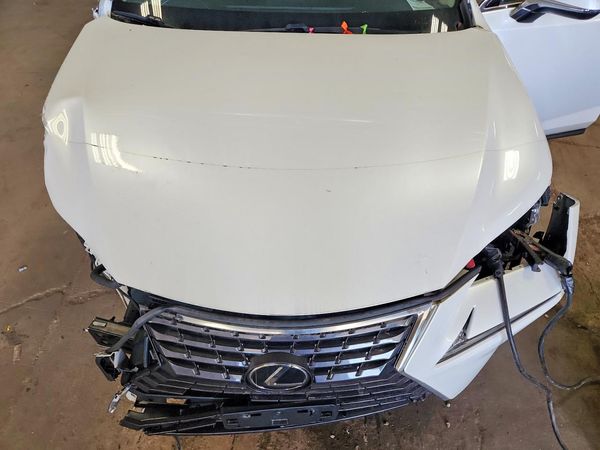 2018 LEXUS NX 300 300 Luxury