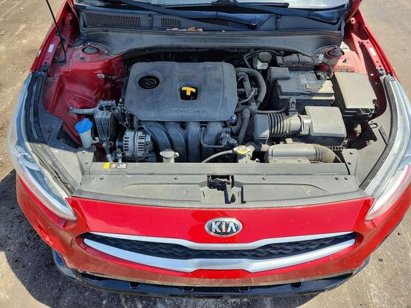 2019 KIA FORTE FE/LX/LXS