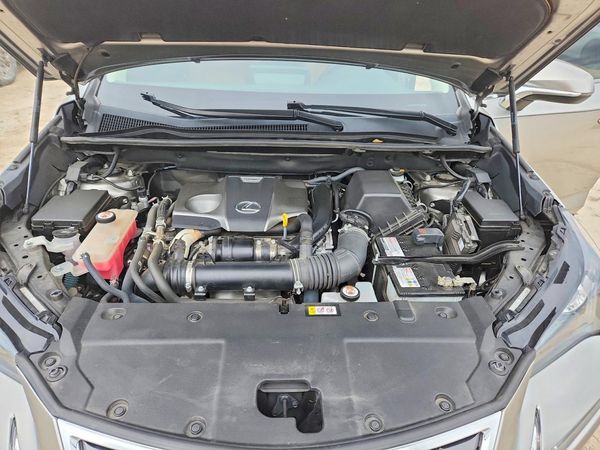 2021 LEXUS NX 300 300 Comfort