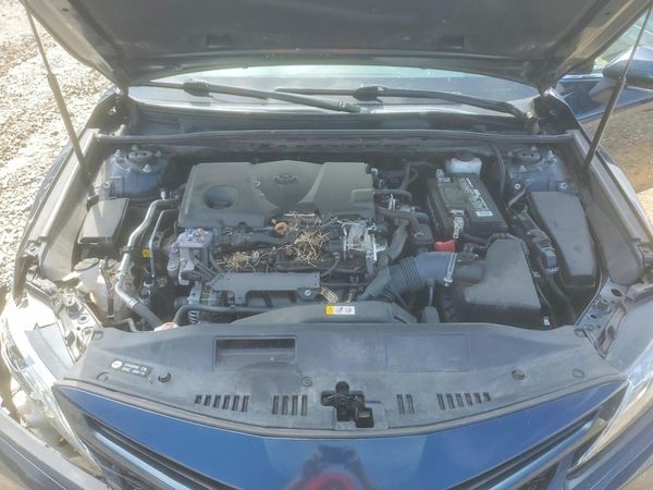 2019 TOYOTA CAMRY