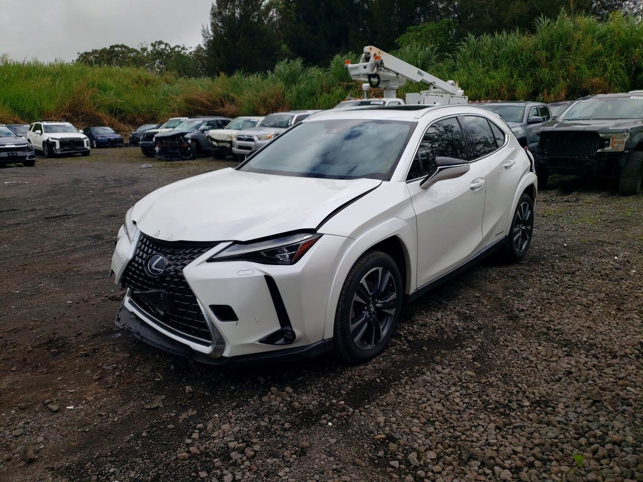 2022 LEXUS UX 250H 250h Premium