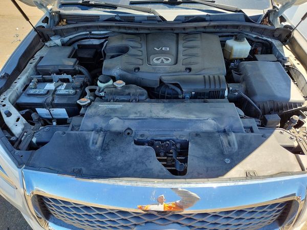 2019 INFINITI QX80