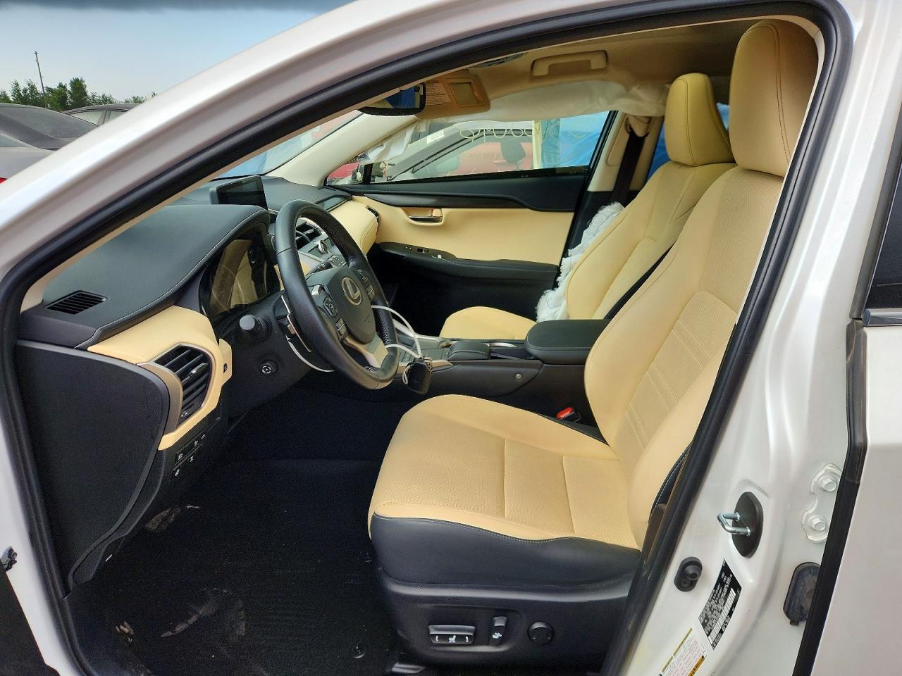 2020 LEXUS NX 300 Comfort