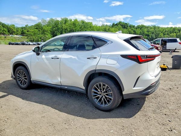 2023 LEXUS NX 250 Base