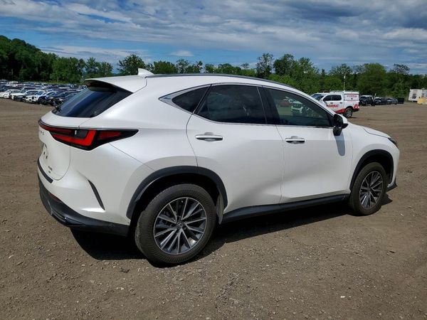 2023 LEXUS NX 250 Base