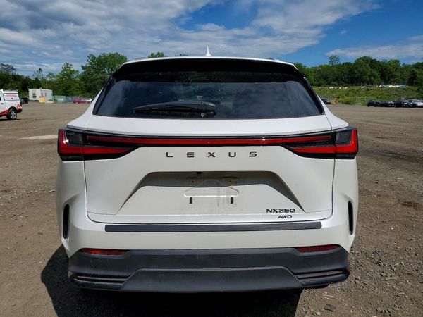 2023 LEXUS NX 250 Base