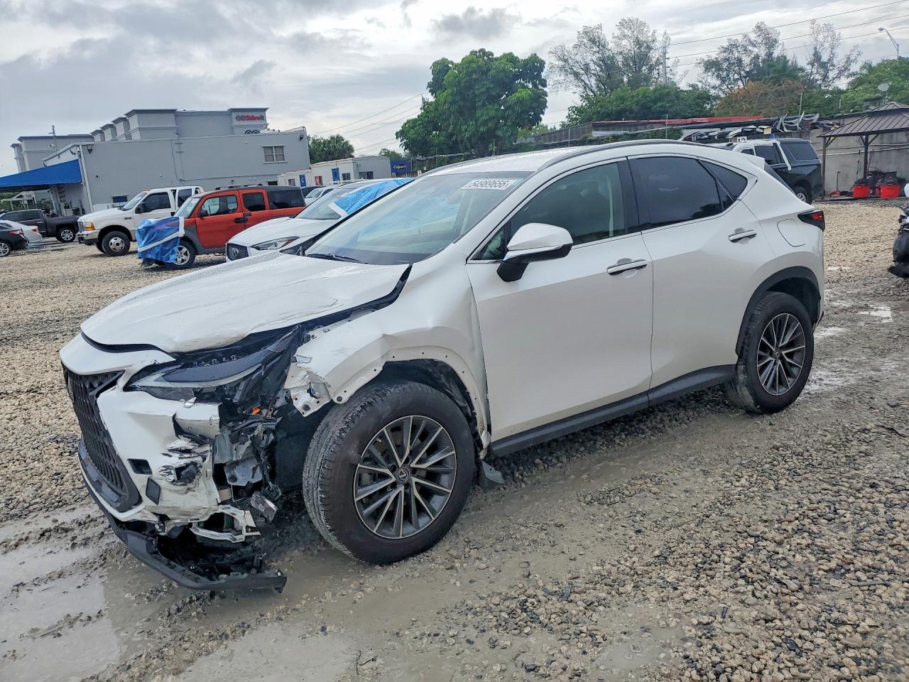 2023 LEXUS NX 250 Base
