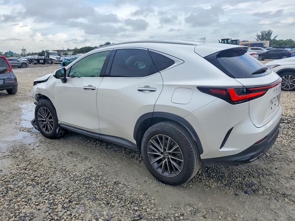 2023 LEXUS NX 250 Base