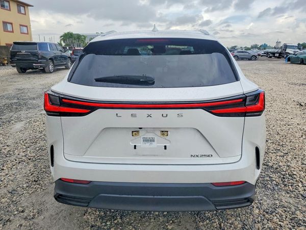 2023 LEXUS NX 250 Base