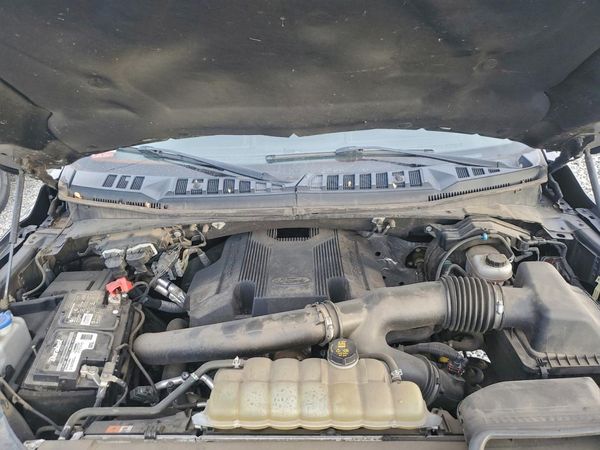 2019 FORD F150