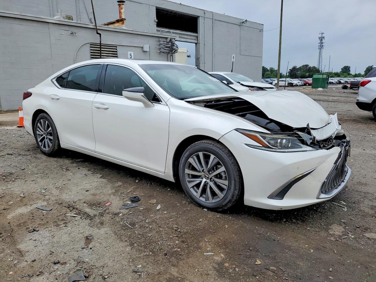 2019 LEXUS ES 350