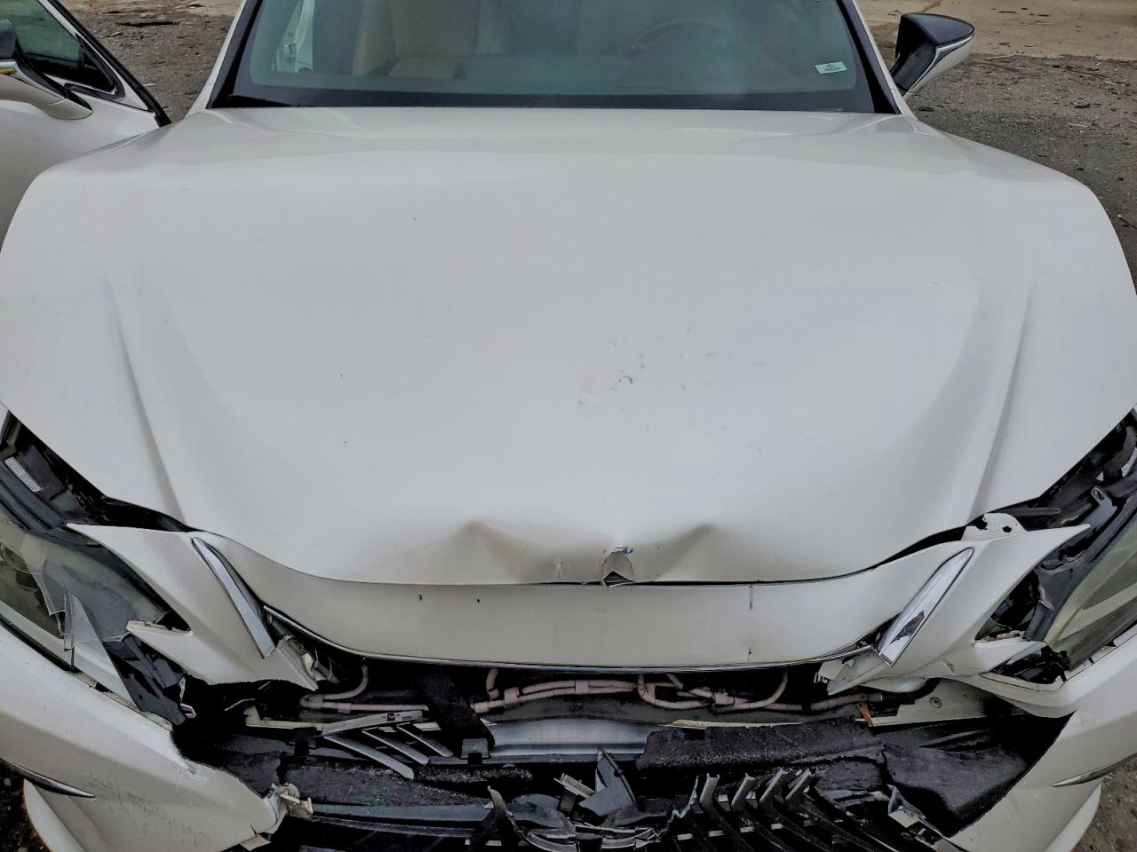 2019 LEXUS ES 350