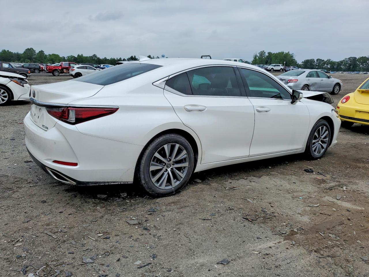 2019 LEXUS ES 350