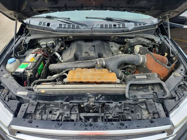 2019 FORD F150