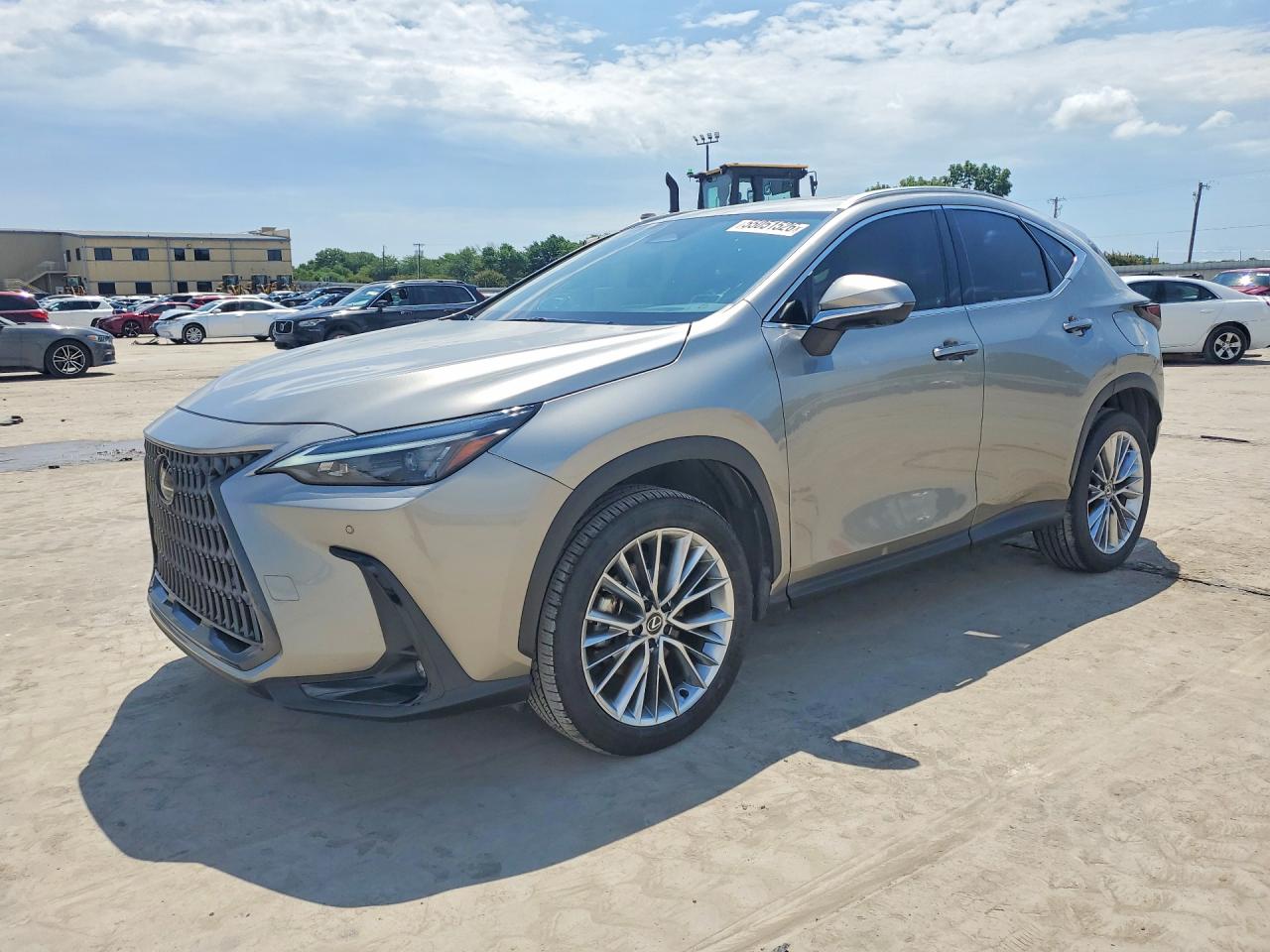 2025 LEXUS NX 350 Premium