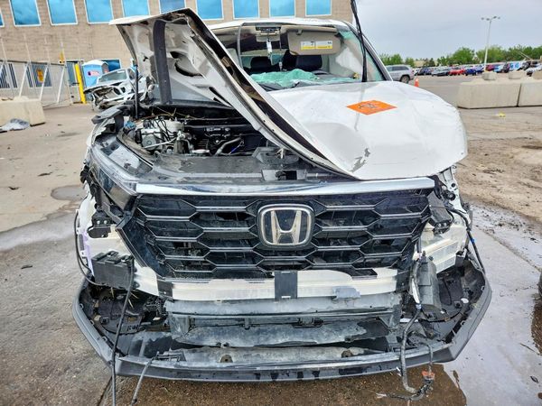 2025 HONDA CRV EX-L — DIRF