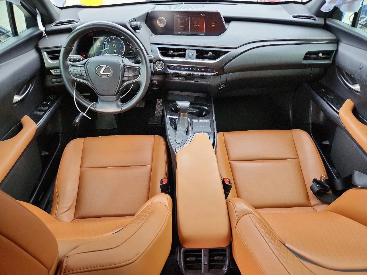 2019 LEXUS UX 200 Base/Luxury/F Sport