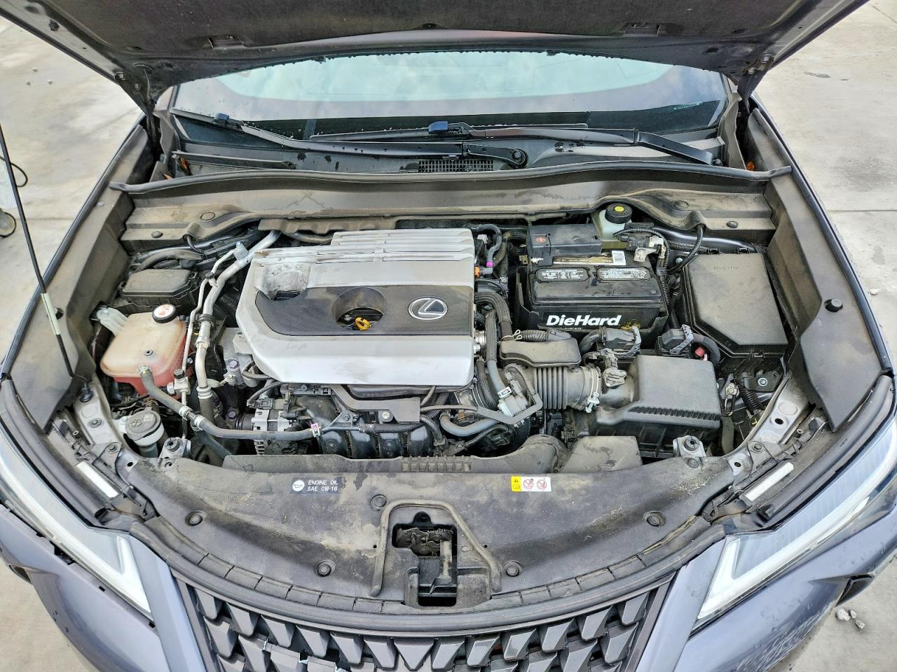 2019 LEXUS UX 200 Base/Luxury/F Sport