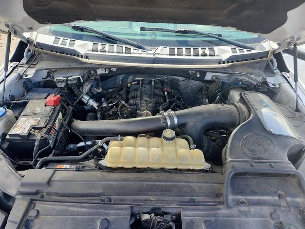 2019 FORD F150