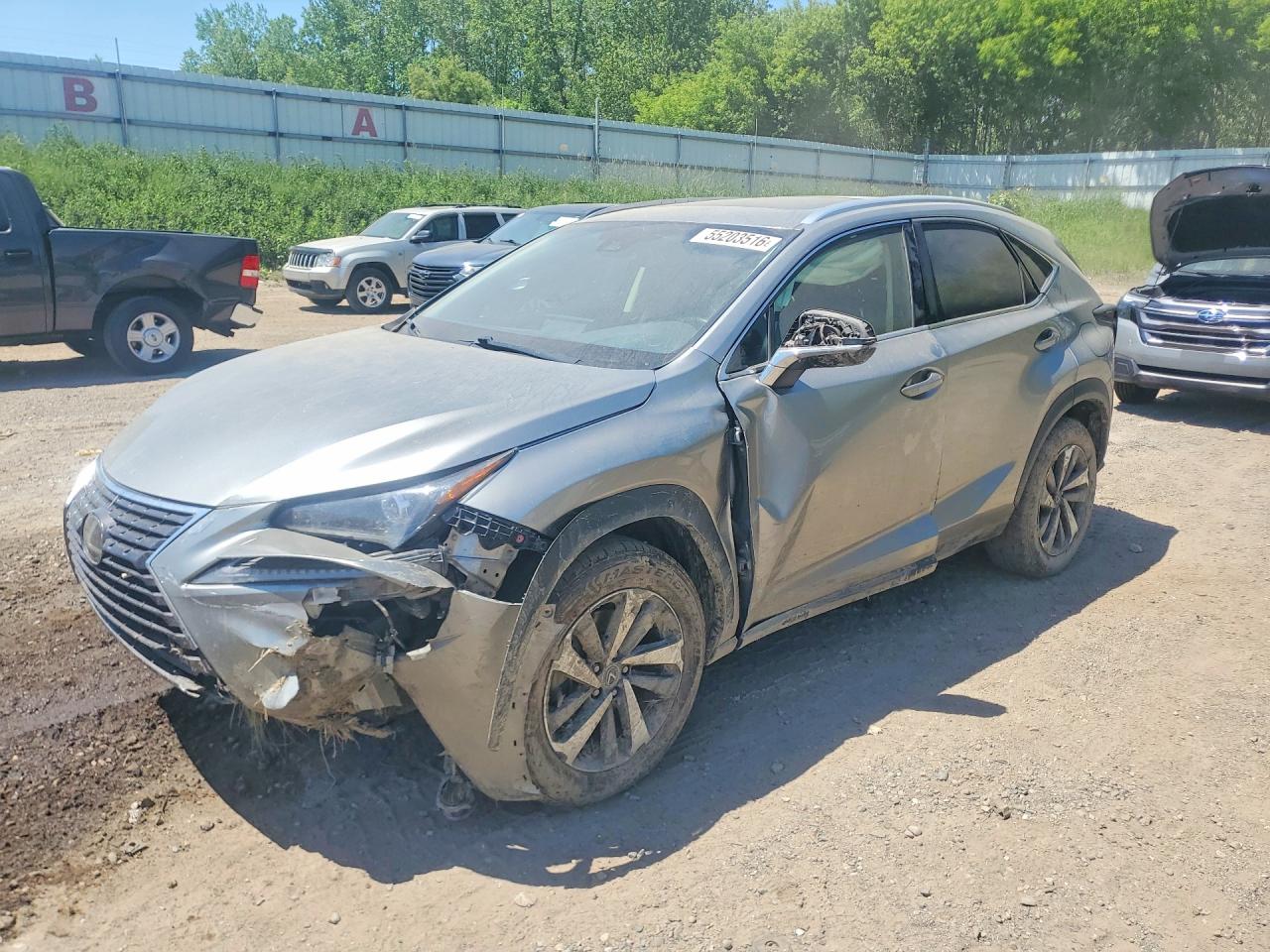 2019 LEXUS NX 300 300 Luxury