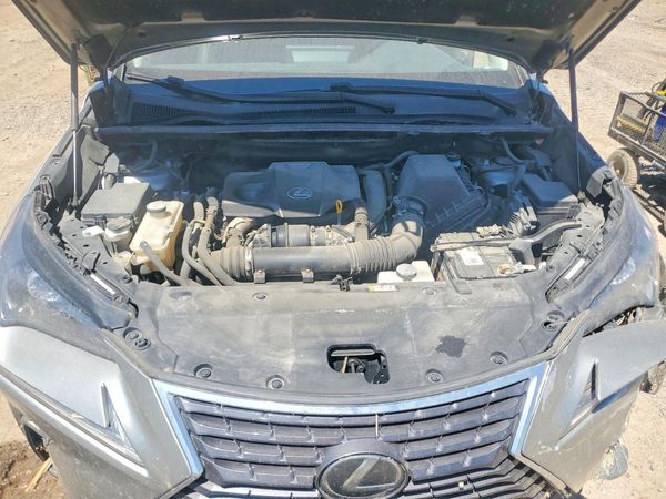 2019 LEXUS NX 300 300 Luxury