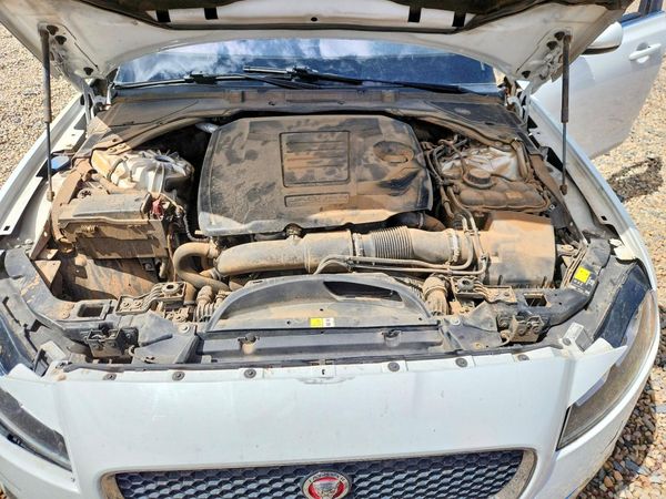 2019 JAGUAR XF Premium