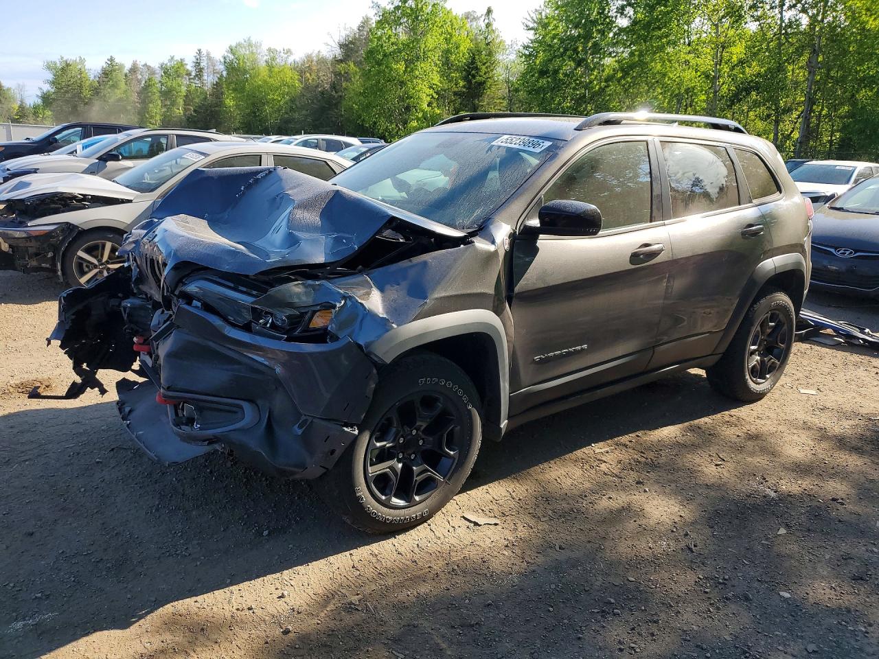 2022 JEEP CHEROKEE Trailhawk