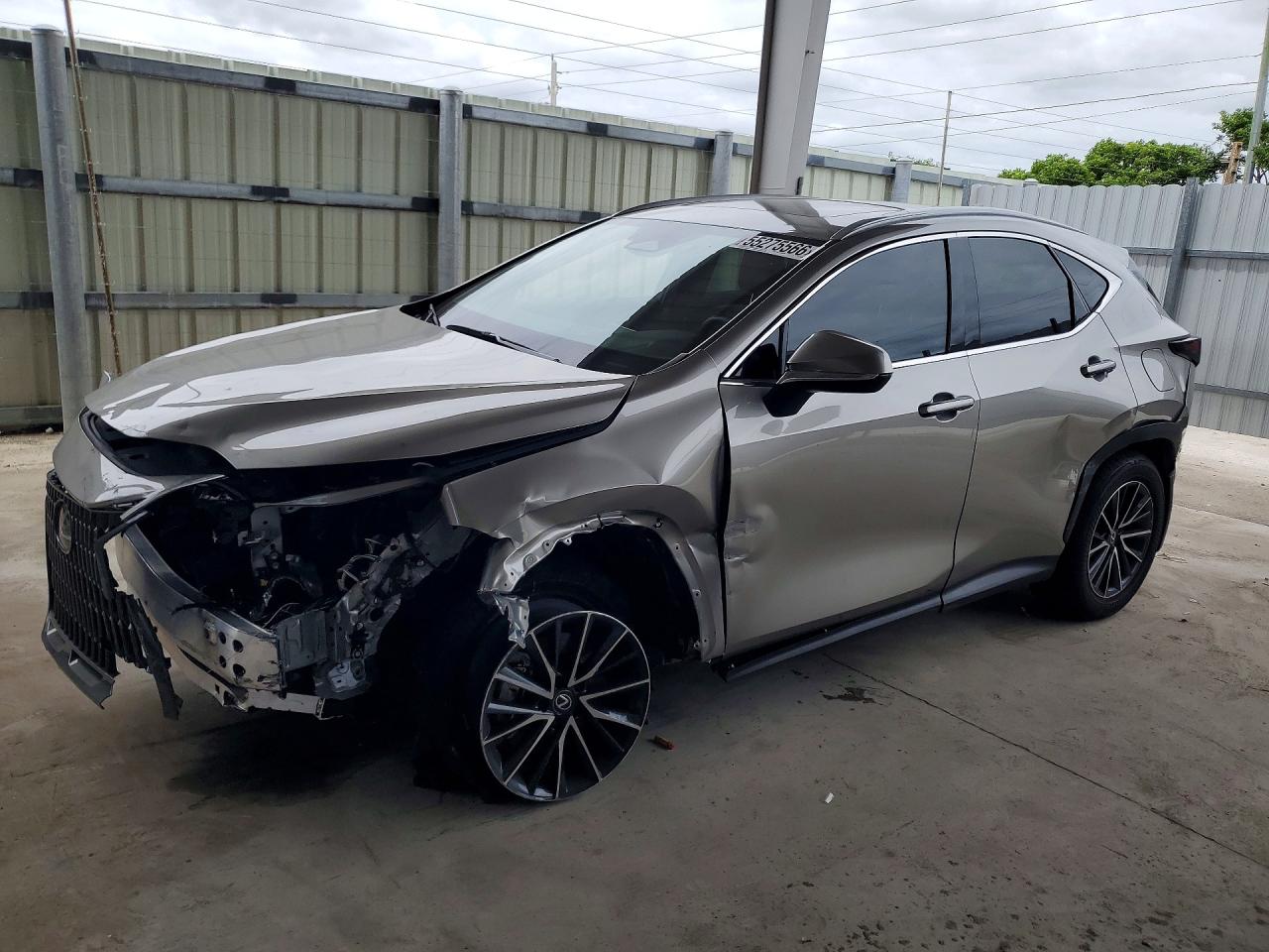 2025 LEXUS NX