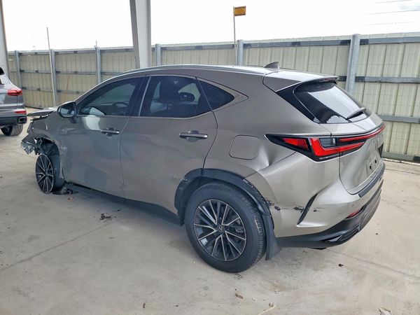 2025 LEXUS NX