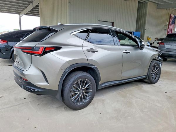 2025 LEXUS NX