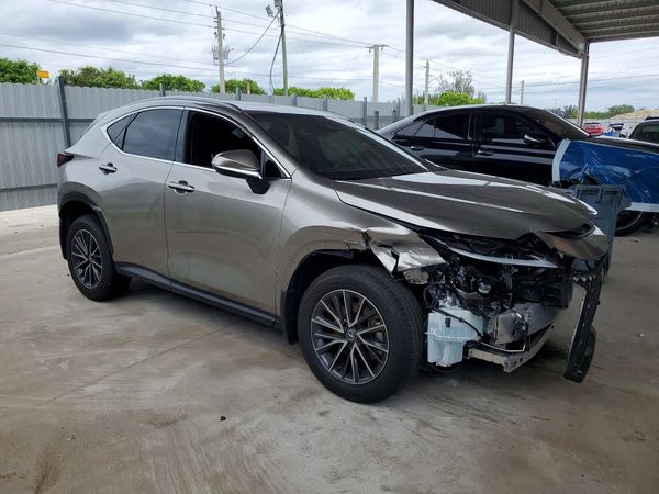 2025 LEXUS NX