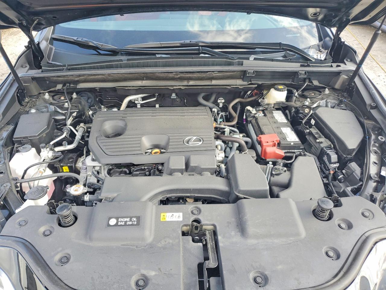 2025 LEXUS NX 250 350 Base