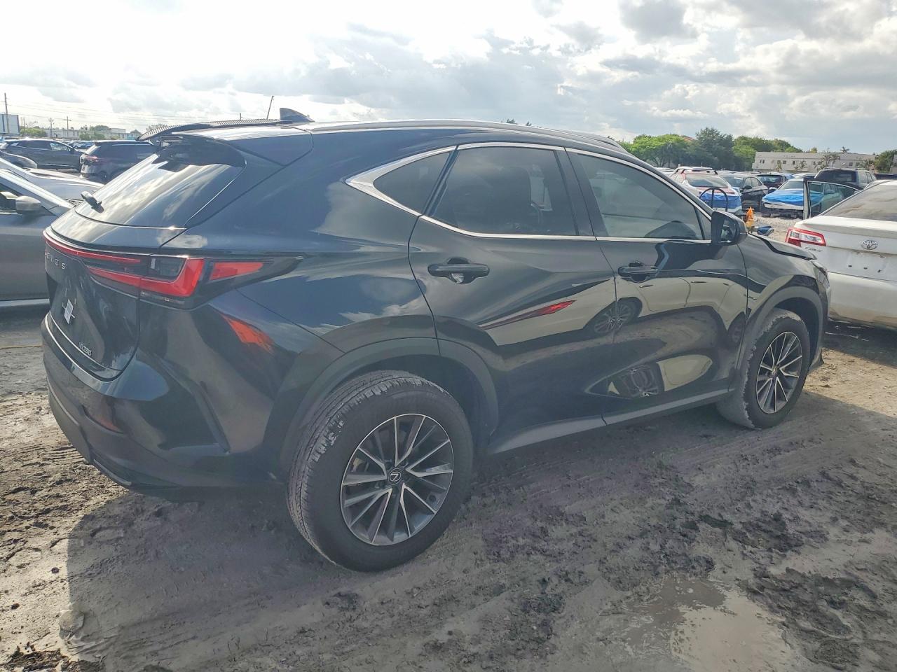 2025 LEXUS NX 250 350 Base