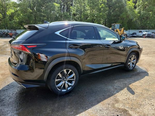 2019 LEXUS NX 300 300 Luxury