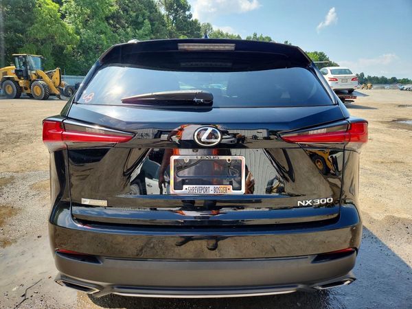 2019 LEXUS NX 300 300 Luxury